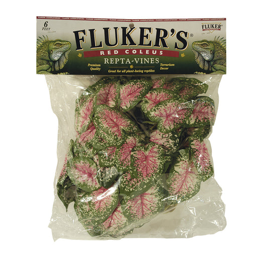 Repta-Vines - Red Coleus - 6"
