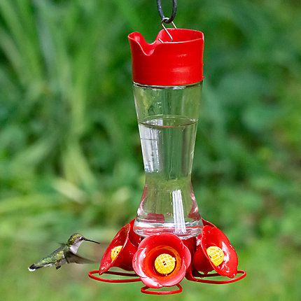 Perkys Pet Favoured Pinch Waist Hummingbird Feeder Bird