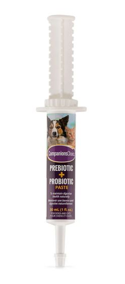 Companions Choice Prebiotic + Probiotic Paste Tube Dog 30ml