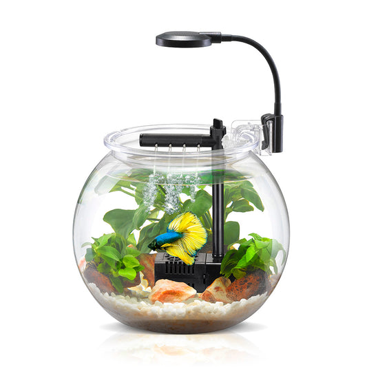 NUBIOS Desktop Betta Bowl Kit 4L