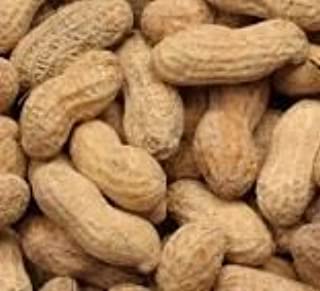 RAW IN SHELL PEANUTS [C33] 11.34KG