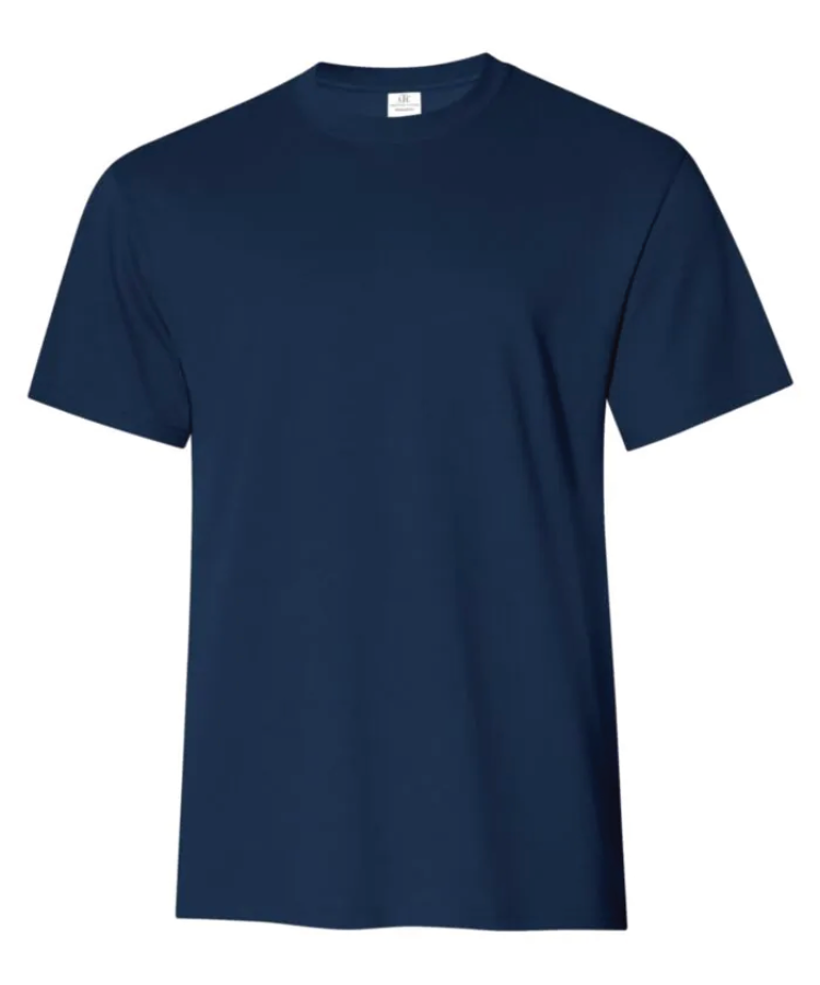 ATC EVERYDAY RING SPUN COTTON TEE. ATC2000