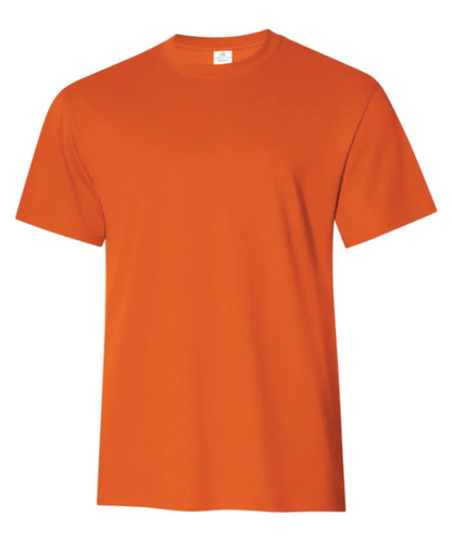 ATC EVERYDAY RING SPUN COTTON TEE. ATC2000