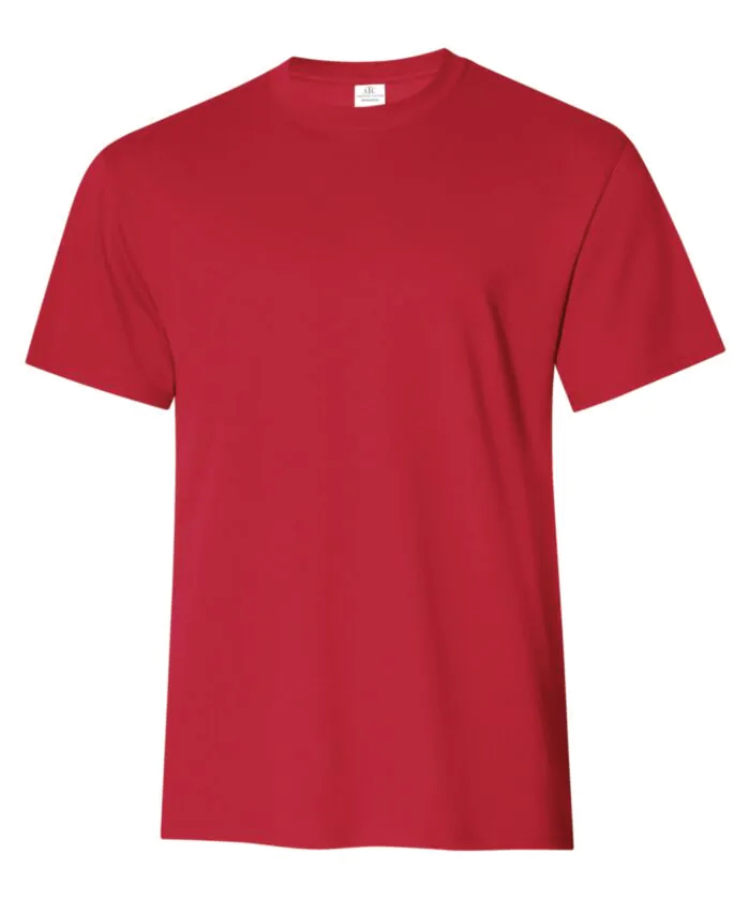 ATC EVERYDAY RING SPUN COTTON TEE. ATC2000