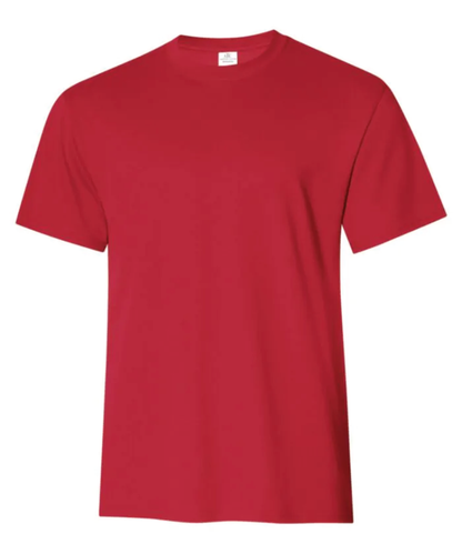 ATC EVERYDAY RING SPUN COTTON TEE. ATC2000