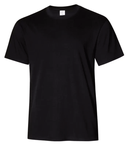 ATC EVERYDAY RING SPUN COTTON TEE. ATC2000