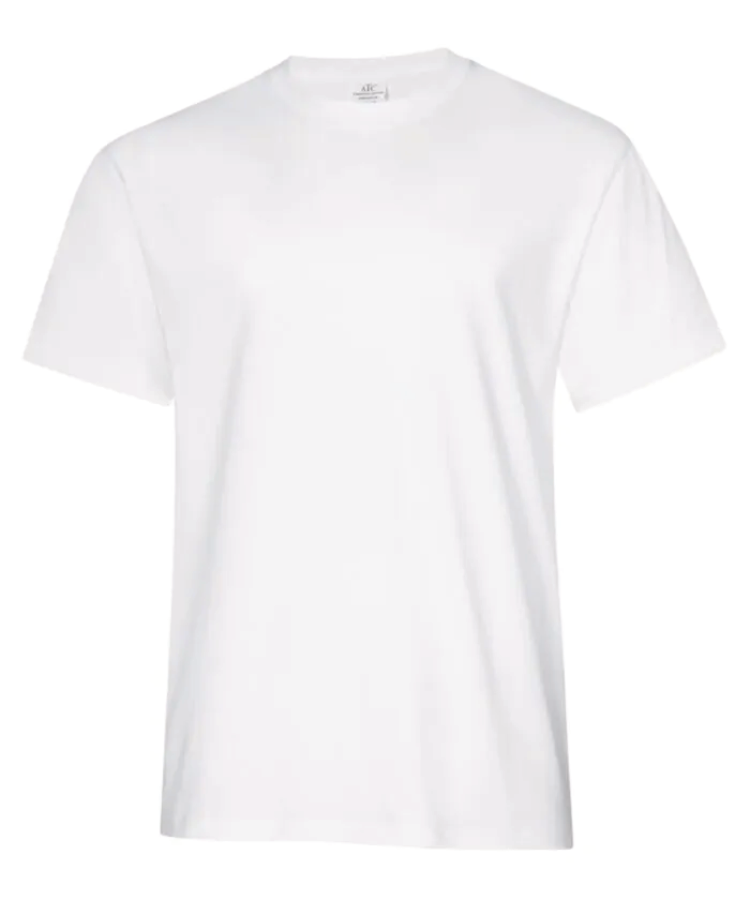 ATC EVERYDAY RING SPUN COTTON TEE. ATC2000