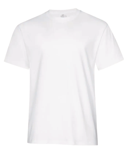 ATC EVERYDAY RING SPUN COTTON TEE. ATC2000