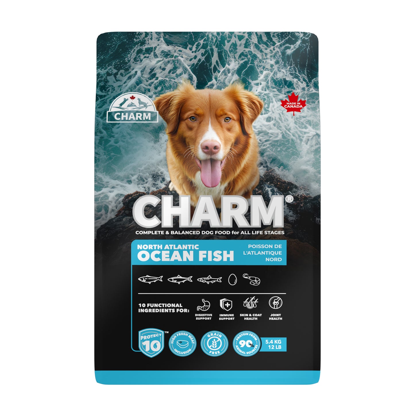 CHARM North Atlantic Ocean Fish DOG 10KG