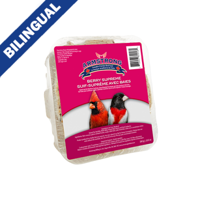 Armstrong Royal Jubilee Berry Supreme Suet 300 gm